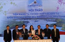 Debaten potenciales de cooperación entre provincia altiplana vietnamita y Japón