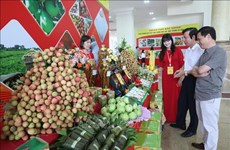 Buscan promover consumo de lichi de Bac Giang en Vietnam y el extranjero