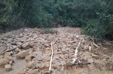 Lluvias e inundaciones provocan pérdidas humanas y materiales en Norte de Vietnam