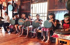 Preservan y promueven el valor de cultura del gong en provincia vietnamita