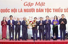 Dirigentes vietnamitas reúnen con legisladores de minorías étnicas