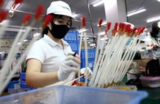 Vietnam prioriza crear condiciones favorables para empresas extranjeras 