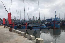 Vietnam proyecta contar con 184 puertos pesqueros para 2050