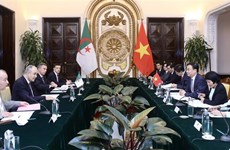 Vietnam y Argelian efectúan consulta política a nivel de vicecanciller
