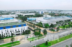 Exigen revisar grandes proyectos de IED en Vietnam