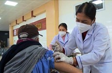 Registra Vietnam casi ocho mil 500 nuevos recuperados de COVID-19