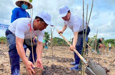 Cambian comportamiento en Vietnam para responder al cambio climático