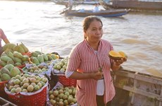 Ciudad Ho Chi Minh organiza el primer festival de frutas