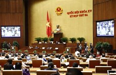Parlamento de Vietnam debate trabajo de supervisión 