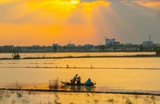 Despliegan proyecto de gestión de recursos naturales en Delta del Mekong 