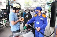 Diputado vietnamita pide la flexibilidad para controlar precios de combustibles
