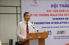 Debaten oportunidades de exportación de productos agrícolas vietnamitas a Malasia
