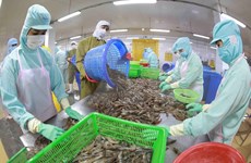 Publicarán nuevo mapa de empresas pesqueras de Vietnam en julio