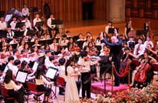 Organizarán por primera vez Campamento musical de verano en ciudad vietnamita 