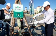 Campaña de plantación de árboles en provincia vietnamita para proteger medio ambiente