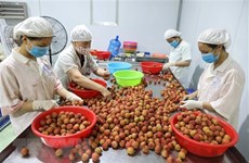 Frutas vietnamitas preferidas por consumidores japoneses en festival en Tokio