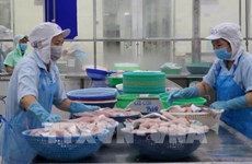 Exportaciones acuícolas de Vietnam a China aumentan 117,6 por ciento en primer cuatrimestre