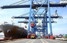 Vietnam trabaja por impulsar exportaciones hacia mercados del RCEP