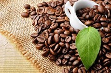 Exportaciones vietnamitas de café superan dos mil millones de dólares