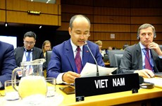 Vietnam asiste a reunión ordinaria de Junta de Gobernadores de OIEA