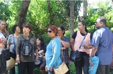 Ciudad vietnamita de Da Nang y la India entablan cooperación en turismo