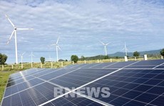Grupo de Electricidad de Vietnam por impulsar desarrollo de energías limpias
