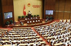 Efectúan sesiones de interpelación de Parlamento vietnamita