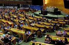 Vietnam se esfuerza por contribuir a actividades de Asamblea General de ONU
