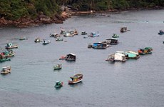 Provincia vietnamita concentra recursos en desarrollo de infraestructura pesquera