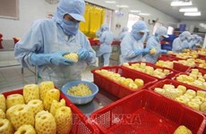 Vietnam y Japón amplían su cooperación a cadenas de cultivos seguros