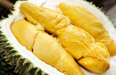 Vietnam espera exportar este año durian al mercado chino 
