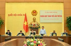Elogian labores de relaciones exteriores del Parlamento vietnamita 
