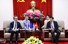Valoran potencialidades de cooperación entre UE y provincia vietnamita 