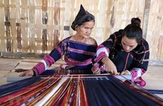 “Conservan el color” del tejido de minoría étnica en Vietnam