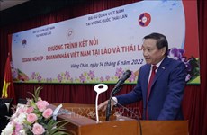 Foro en Vientiane conecta a empresas vietnamitas en Laos y Tailandia