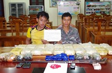 Dos redes transnacionales de narcotraficantes desmanteladas en provincia vietnamita