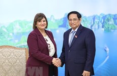 Primer ministro de Vietnam recibe a embajadores de Egipto y Mongolia