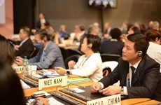 Vietnam dispuesto a cooperar con la OMC en mantenimiento y consolidación del sistema multilateral de comercio
