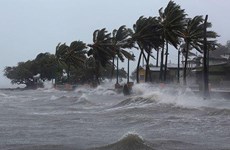 Sufrirá Vietnam unos seis ciclones en últimos meses de 2022