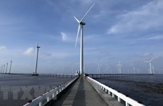 Destacan impulso a la energía verde en Asia 