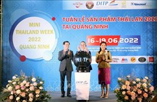 Celebran por primera vez Semana de productos tailandeses en provincia vietnamita 