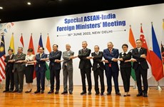 Vietnam participa en discusión ministerial sobre 30 años de relaciones ASEAN-India 