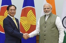 Vietnam e India acuerdan fomentar asociación bilateral efectiva y sustancial