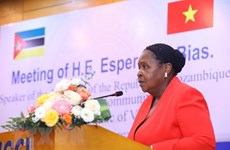 Mozambique - puerta de entrada para empresas vietnamitas al mercado surafricano