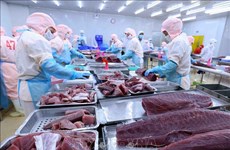 Exportaciones de atún vietnamita a Canadá tienden a aumentar