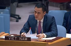 Vietnam siempre apoya esfuerzos humanitarios de la ONU