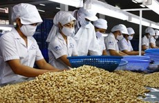 Sector de anacardo vietnamita enfrenta desafíos en 2022
