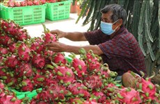 China vuelve a importar productos agrícolas vietnamitas 