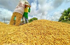 Lanzan iniciativa para proteger sistemas de alimentos en grandes deltas de Asia