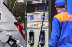 Ministerio vietnamita presenta plan para reducir impuesto especial sobre gasolina y petróleo 